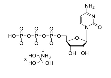 CTP (100mM, Tris Buffered)